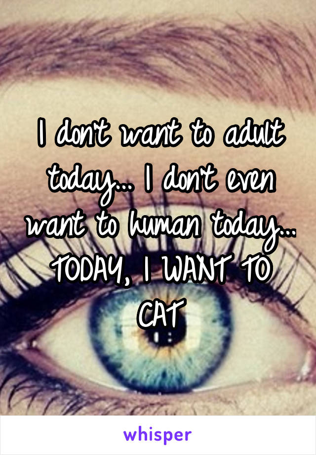 I don't want to adult today... I don't even want to human today... TODAY, I WANT TO CAT