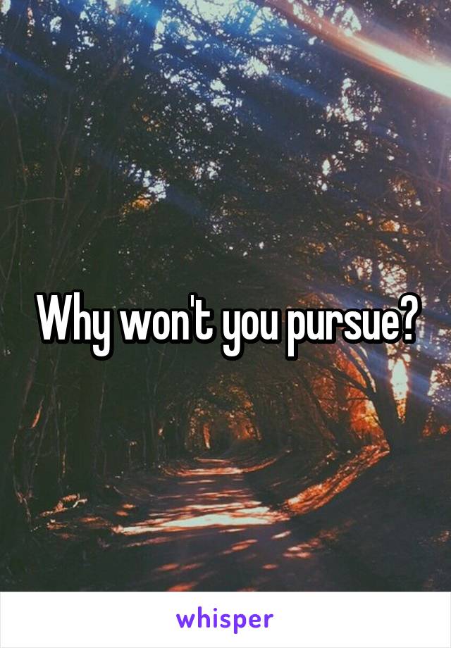 Why won't you pursue?