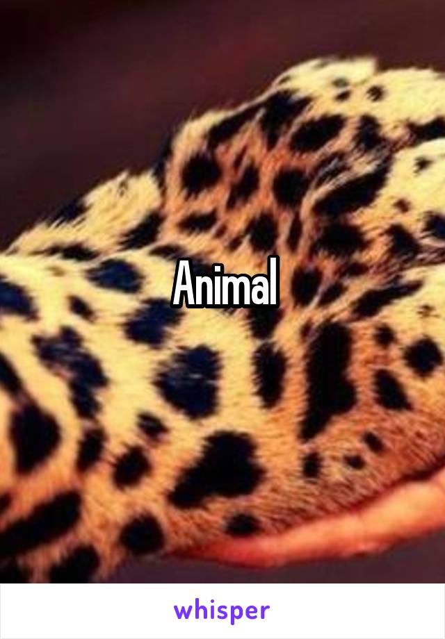 Animal
