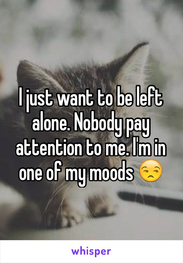 I just want to be left alone. Nobody pay attention to me. I'm in one of my moods 😒