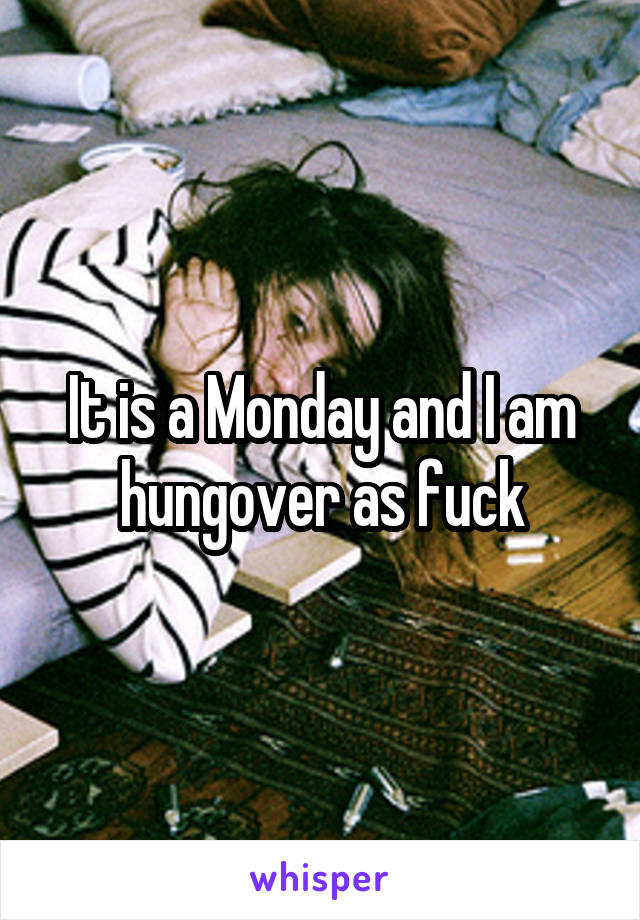 It is a Monday and I am hungover as fuck