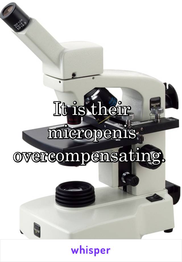 It is their micropenis overcompensating. 