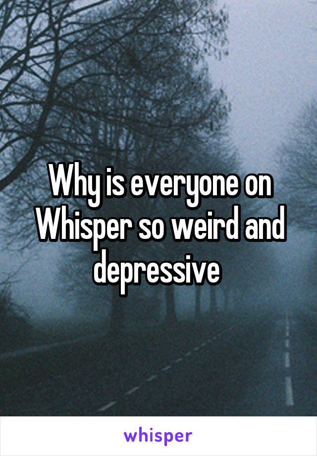 Why is everyone on Whisper so weird and depressive 