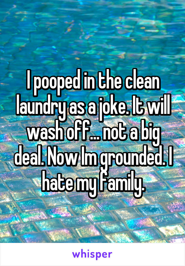 I pooped in the clean laundry as a joke. It will wash off... not a big deal. Now Im grounded. I hate my family.