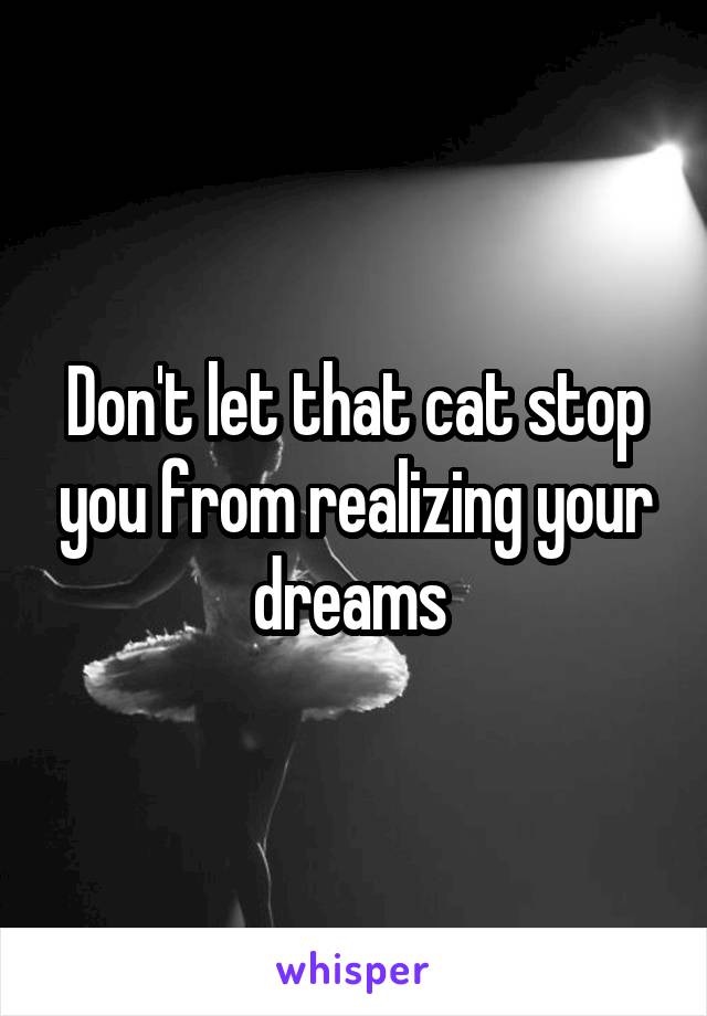 Don't let that cat stop you from realizing your dreams 