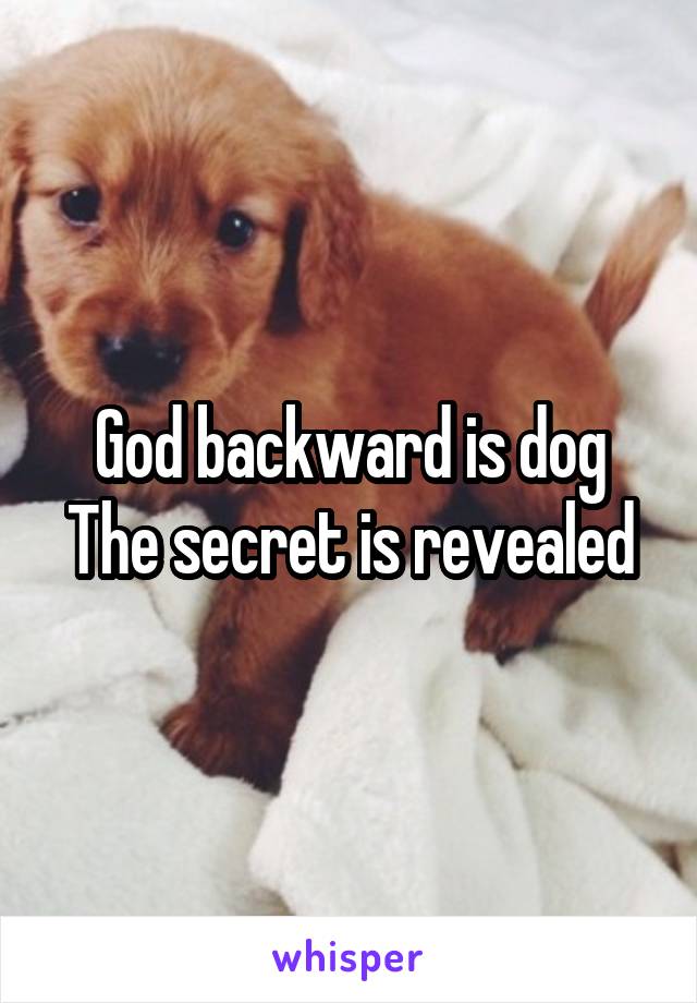 God backward is dog
The secret is revealed