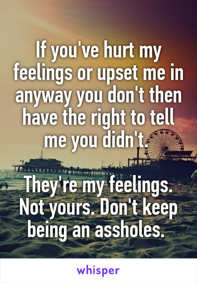 If you've hurt my feelings or upset me in anyway you don't then have the right to tell me you didn't. 

They're my feelings. Not yours. Don't keep being an assholes. 