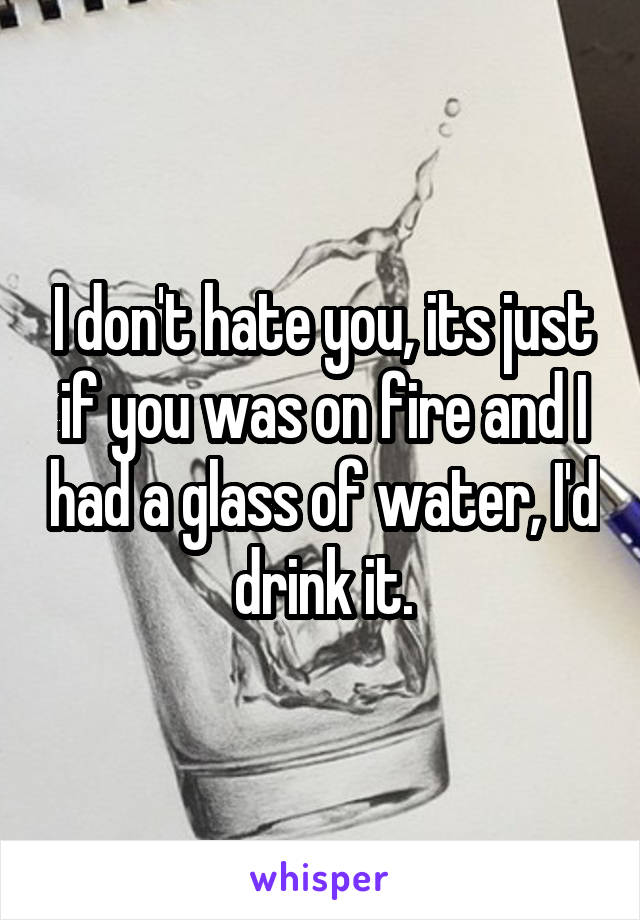 I don't hate you, its just if you was on fire and I had a glass of water, I'd drink it.