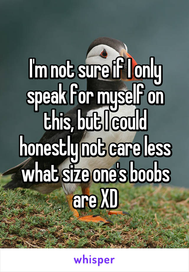 I'm not sure if I only speak for myself on this, but I could honestly not care less what size one's boobs are XD