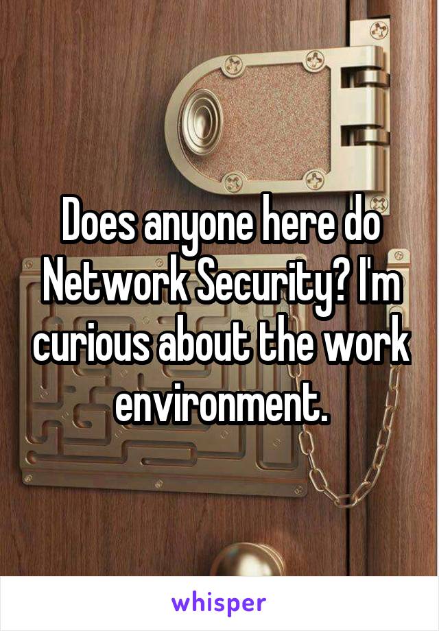 Does anyone here do Network Security? I'm curious about the work environment.