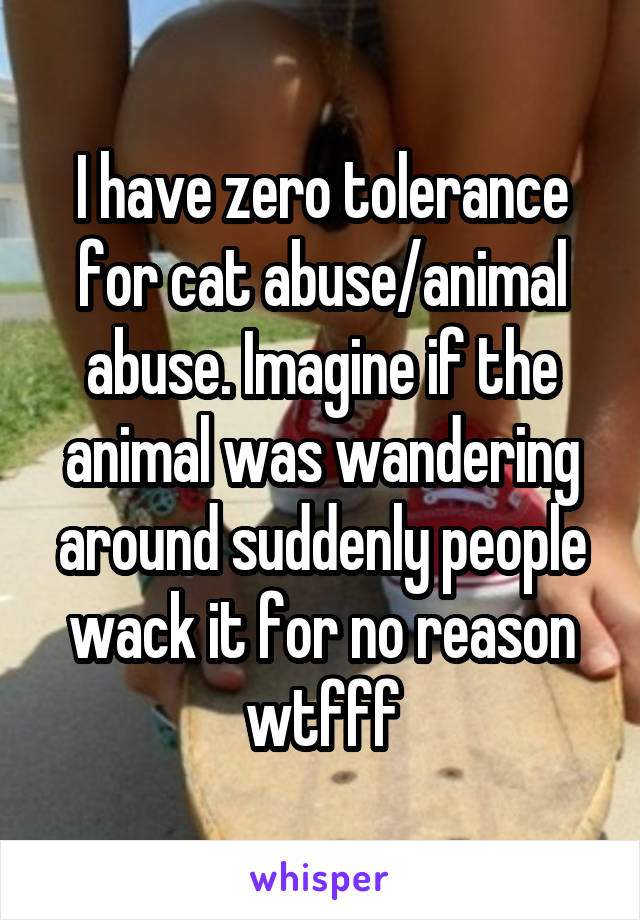 I have zero tolerance for cat abuse/animal abuse. Imagine if the animal was wandering around suddenly people wack it for no reason wtfff