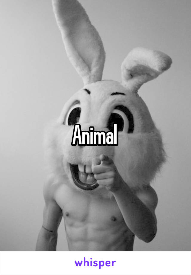 Animal 