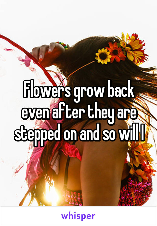 Flowers grow back even after they are stepped on and so will I