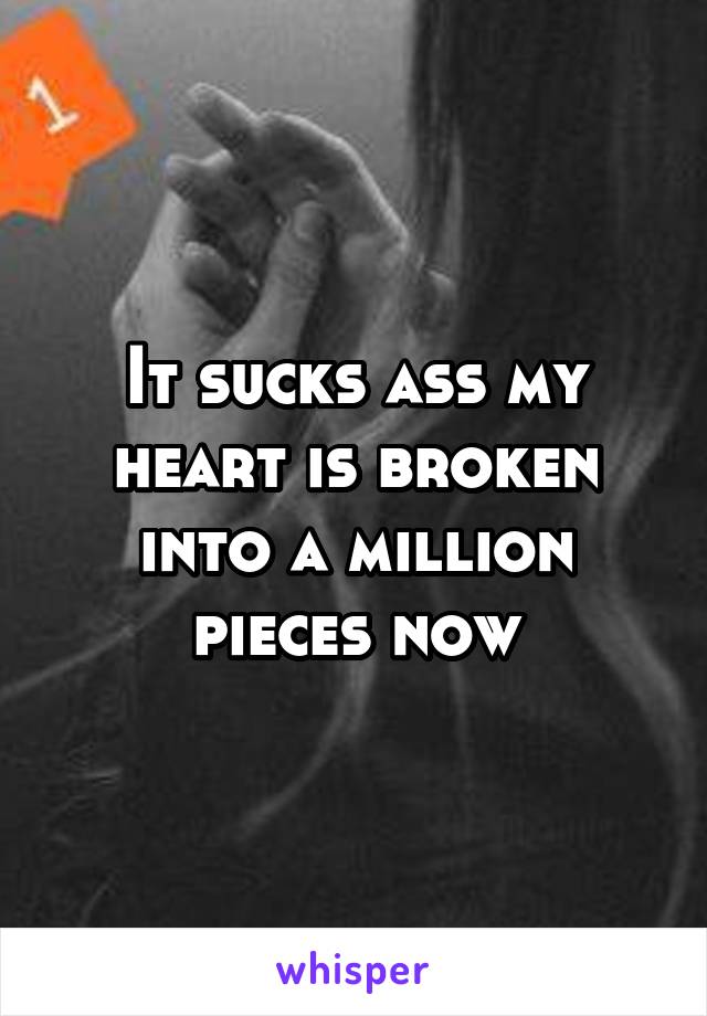 It sucks ass my heart is broken into a million pieces now