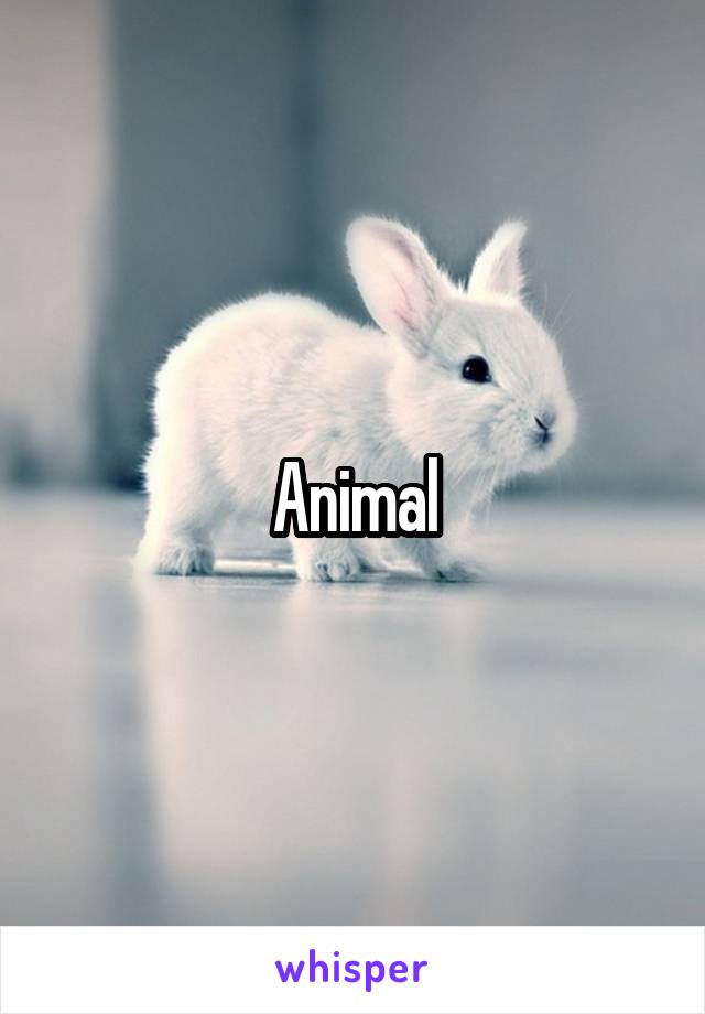 Animal