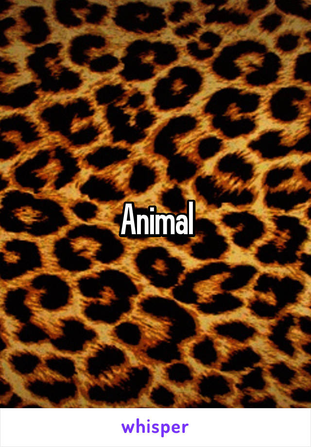 Animal