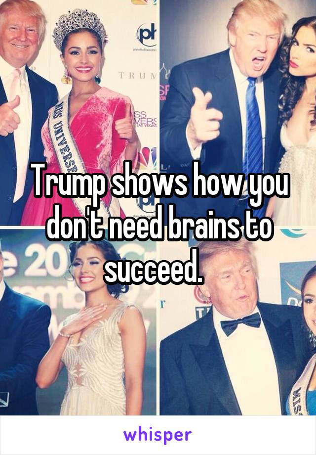 Trump shows how you don't need brains to succeed.  