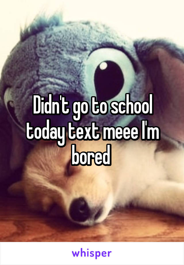 Didn't go to school today text meee I'm bored 