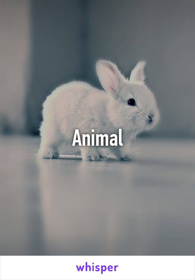 Animal