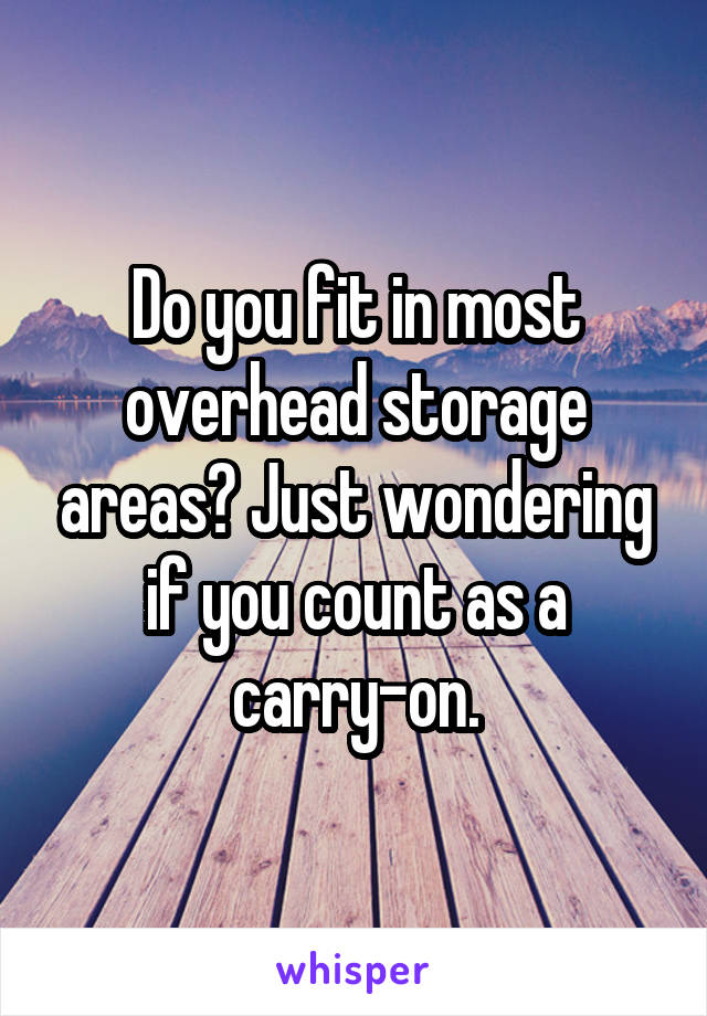 Do you fit in most overhead storage areas? Just wondering if you count as a carry-on.