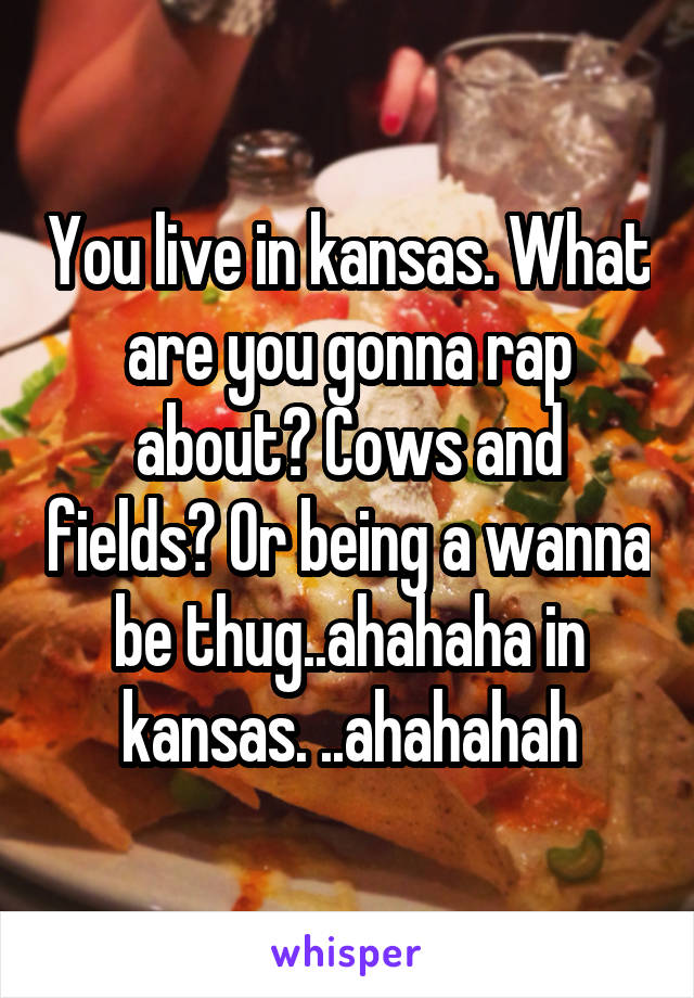 You live in kansas. What are you gonna rap about? Cows and fields? Or being a wanna be thug..ahahaha in kansas. ..ahahahah