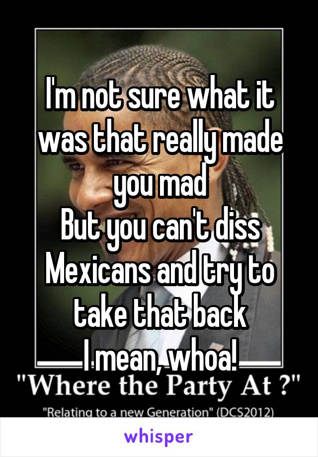 I'm not sure what it was that really made you mad
But you can't diss Mexicans and try to take that back
I mean, whoa!