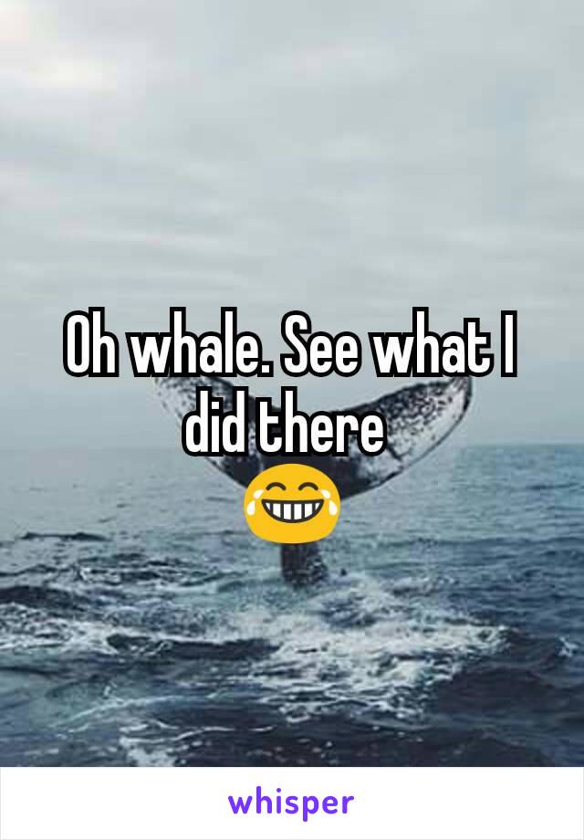 Oh whale. See what I did there 
😂