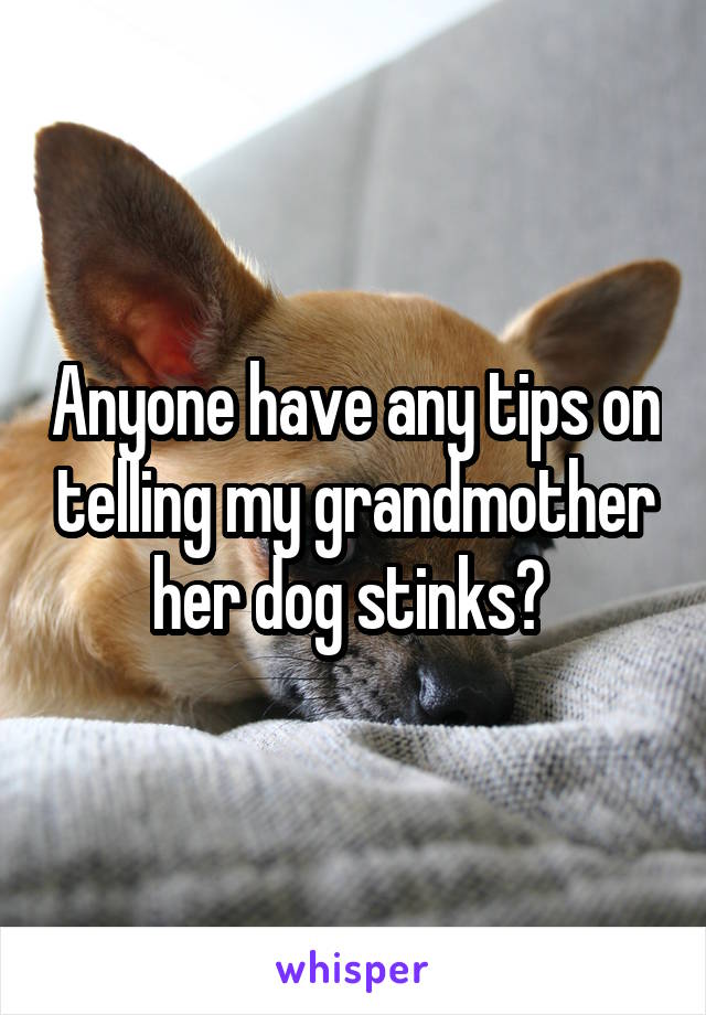 Anyone have any tips on telling my grandmother her dog stinks? 