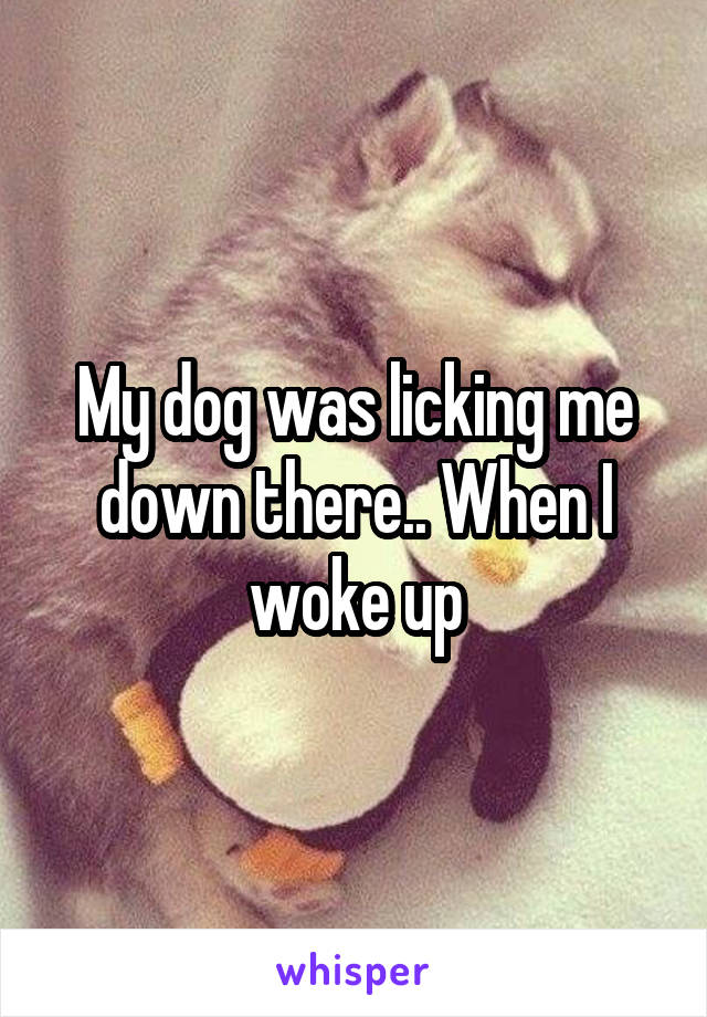 My dog was licking me down there.. When I woke up