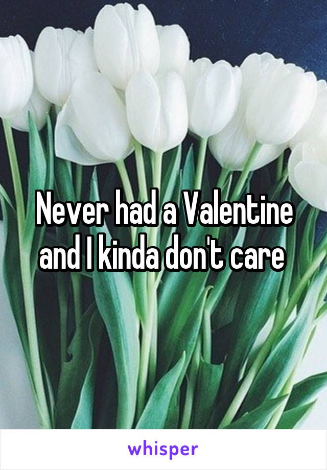 Never had a Valentine and I kinda don't care 