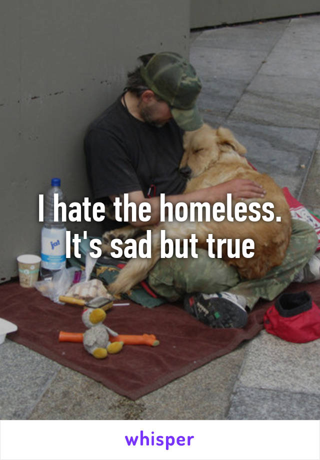 I hate the homeless. It's sad but true