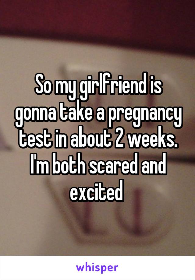 So my girlfriend is gonna take a pregnancy test in about 2 weeks. I'm both scared and excited 