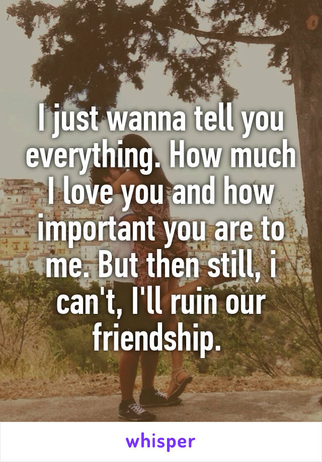 I just wanna tell you everything. How much I love you and how important you are to me. But then still, i can't, I'll ruin our friendship. 