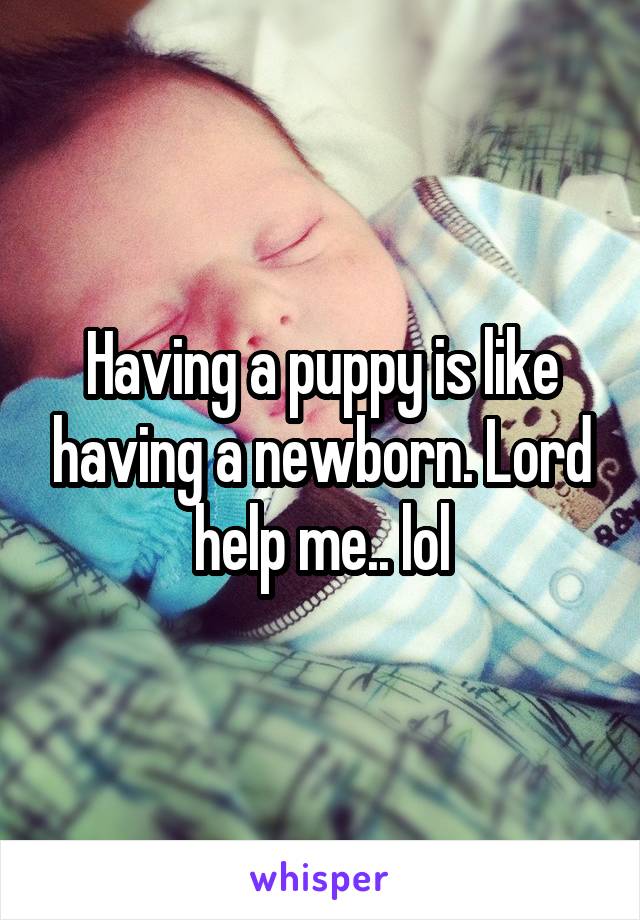 Having a puppy is like having a newborn. Lord help me.. lol