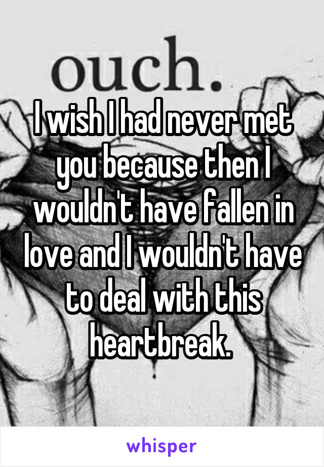 I wish I had never met you because then I wouldn't have fallen in love and I wouldn't have to deal with this heartbreak. 