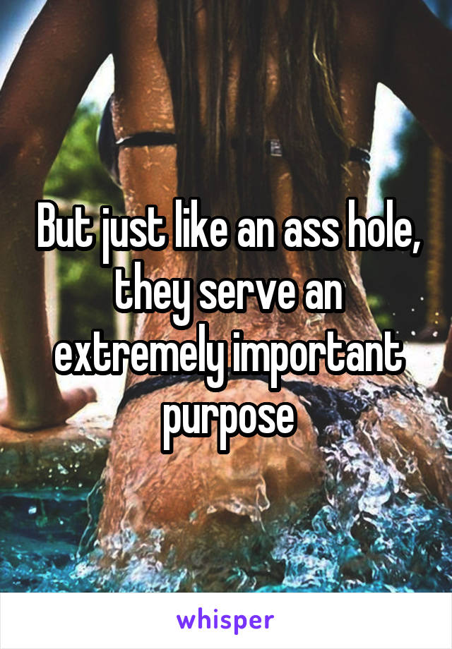 But just like an ass hole, they serve an extremely important purpose