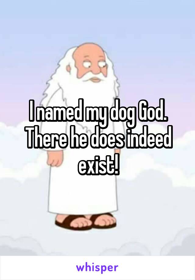 I named my dog God.
There he does indeed exist!