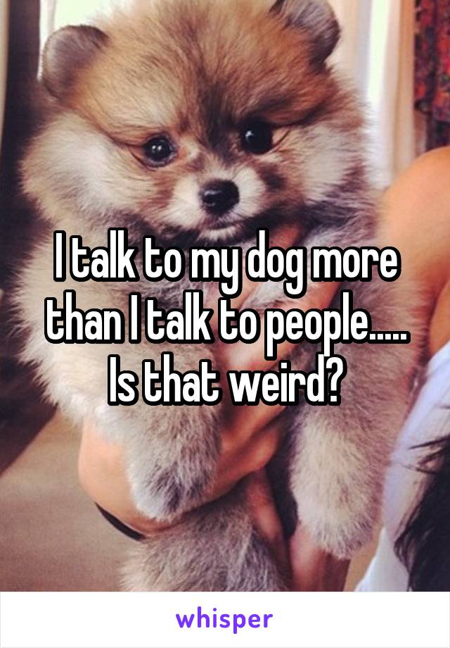 I talk to my dog more than I talk to people.....
Is that weird?