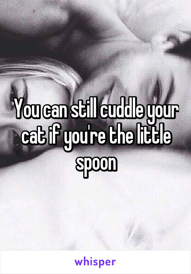 You can still cuddle your cat if you're the little spoon