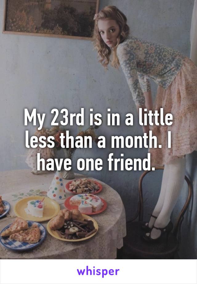 My 23rd is in a little less than a month. I have one friend. 