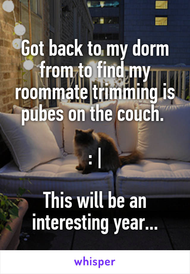 Got back to my dorm from to find my roommate trimming is pubes on the couch. 

: |

This will be an interesting year...