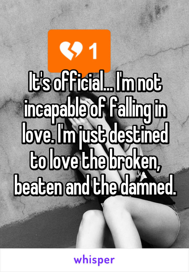 It's official... I'm not incapable of falling in love. I'm just destined to love the broken, beaten and the damned.