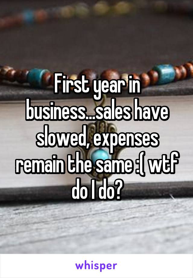 First year in business...sales have slowed, expenses remain the same :( wtf do I do?