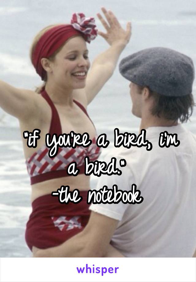 

"if you're a bird, i'm a bird." 
-the notebook 