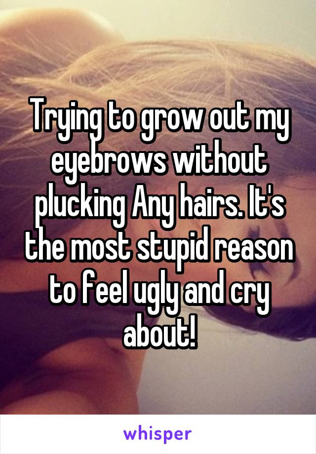 Trying to grow out my eyebrows without plucking Any hairs. It's the most stupid reason to feel ugly and cry about!