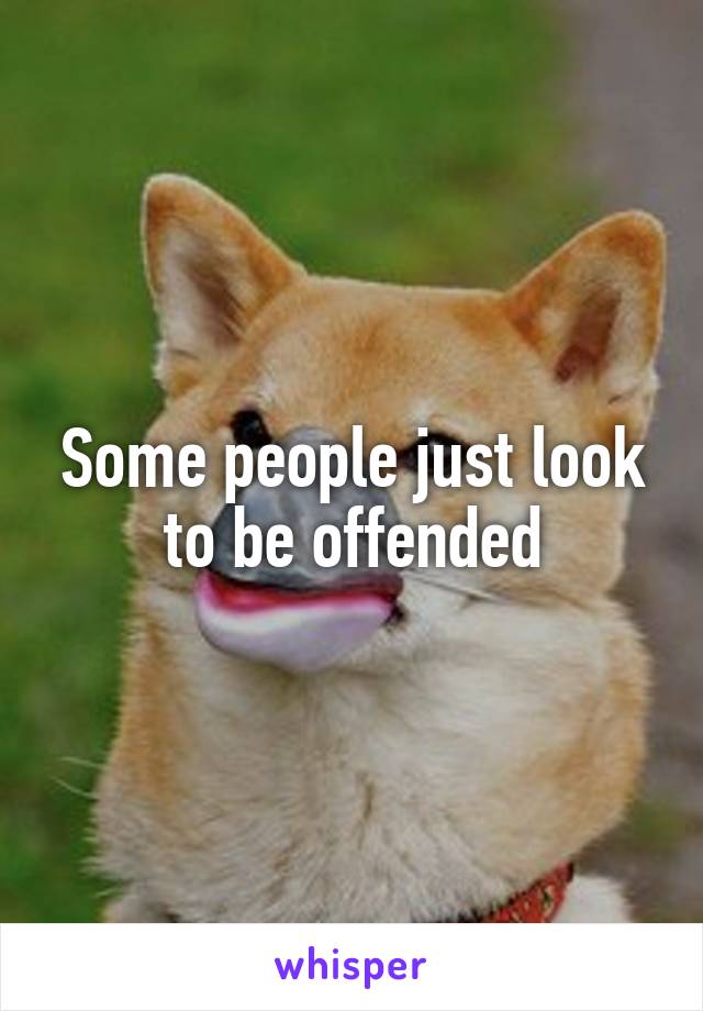 Some people just look to be offended