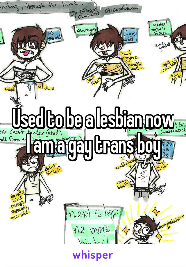 Used to be a lesbian now I am a gay trans boy