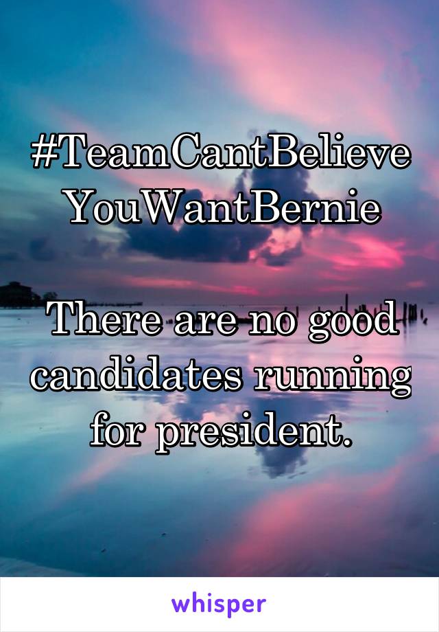 #TeamCantBelieveYouWantBernie

There are no good candidates running for president.
