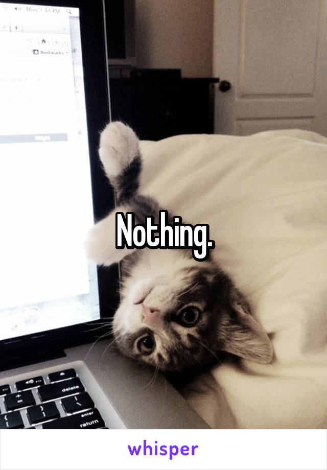 Nothing.