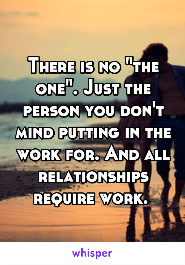 There is no "the one". Just the person you don't mind putting in the work for. And all relationships require work. 